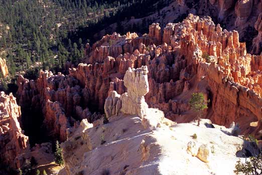 fine_art_photography_images_bryce_canyon_sf_3.13_europe_online_tv_fine_art