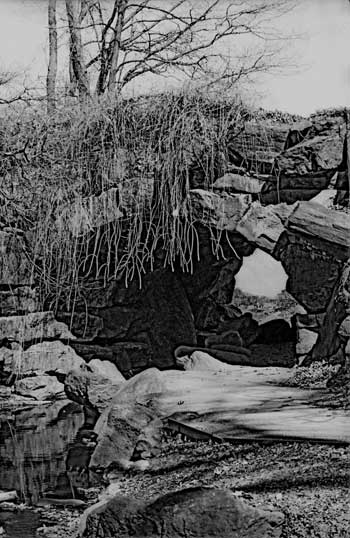 europe_online_tv_photography_art_nyc_f75_portal