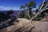 europe_online_tv_fine_art_photography_grand_canyon_sf_3.5_photography_art