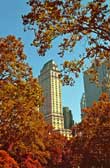 fine_art_photography_images_nyc_file_79_autumn_europe_online_tv_fine_art